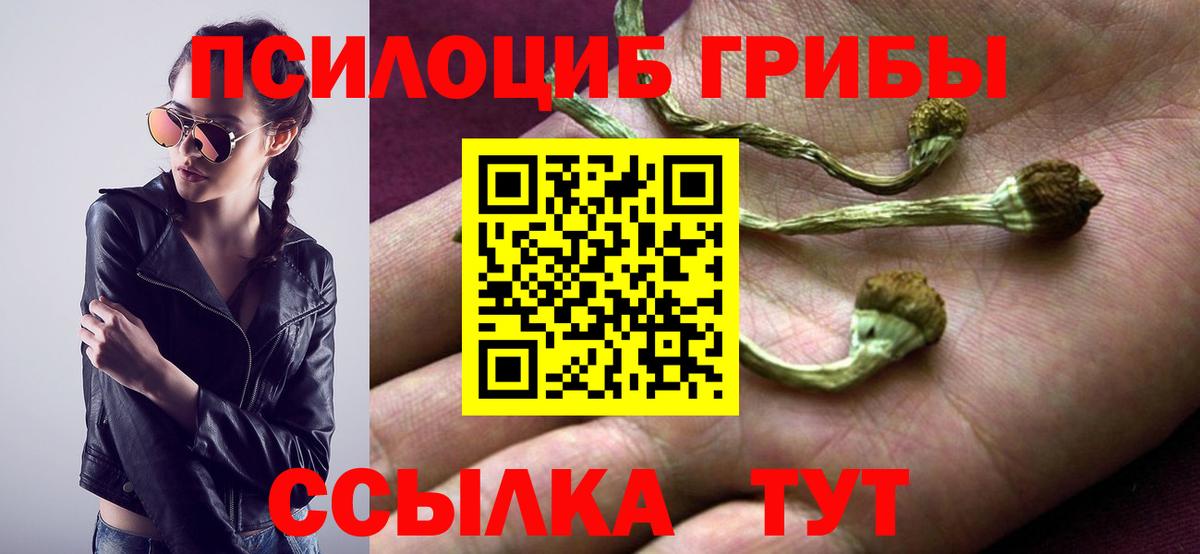 Псилоцибиновые грибы GOLDEN TEACHER  Вход с VPN  Будённовск 